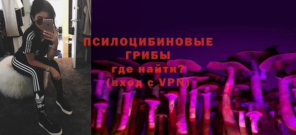 индика Белоозёрский