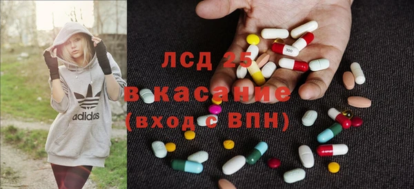 индика Белоозёрский