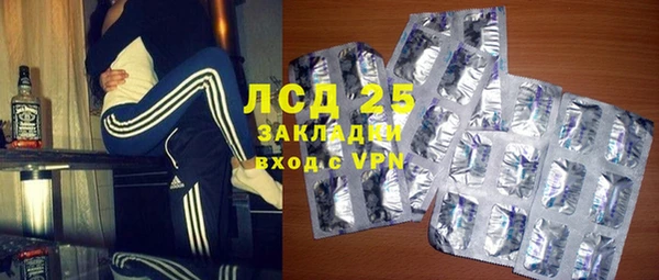 индика Белоозёрский