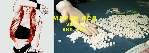индика Белоозёрский