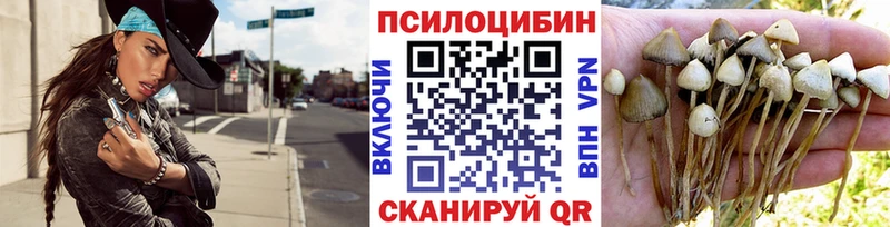 площадка какой сайт Болотное Галлюциногенные грибы мицелий